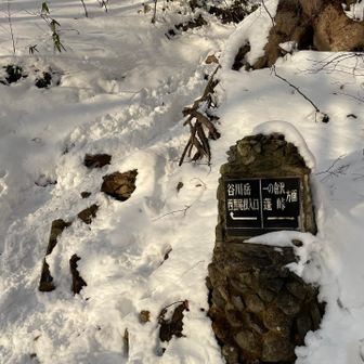 ここから急登にチャレンジ！