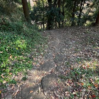 落ち葉に覆われた石畳🍂風情がある