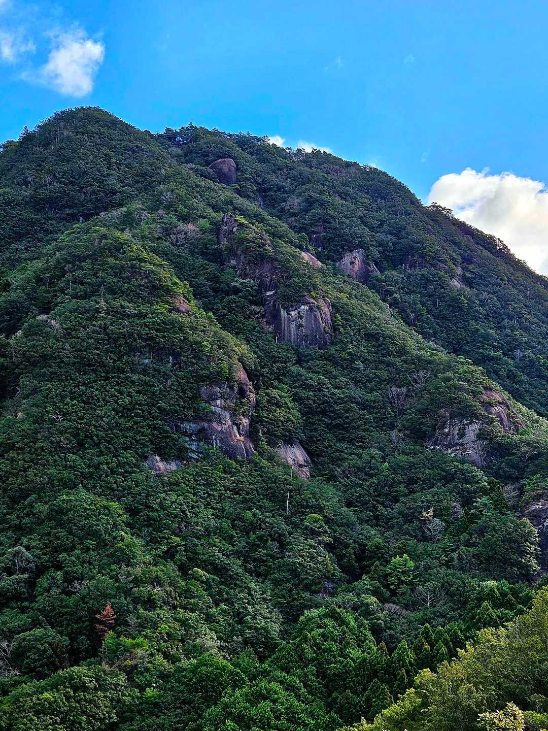 今日のメインイベントはこの三星山の荒々しく露出した岩肌をよじ登ることです😤💨