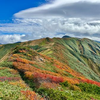 写真が止まらない世界。