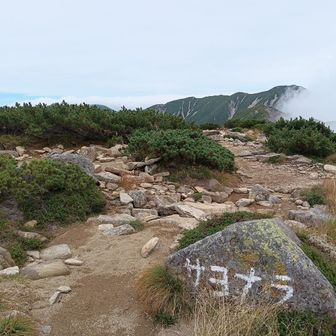 サ・ヨ・ナ・ラ
ガスガス上がってまっちろけ
素敵な景色をありがとう🤗
さぁ〜下山しなきゃ〜😅
連休だし、明日が☀なら双六、槍まで行ったのになぁ～

杓子平までは２時間かからず戻り…その後膝痛、手の皮剥けて痛く手チーン😭半泣きでテンション下がり😢睡魔の波と戦いながら、ゆっくりと無言の下山😅
食欲あるが味がわからず…しっかり食べて体力つけてもっと訓練しなくちゃね🤧