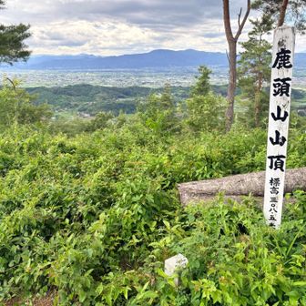 山頂標識と三角点