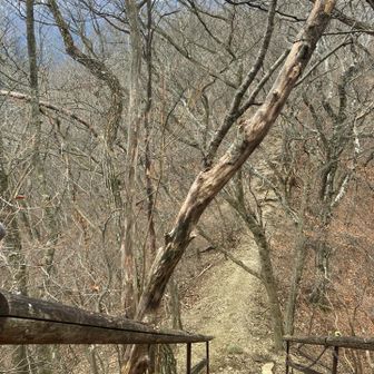 山頂からは急な下りが続きます