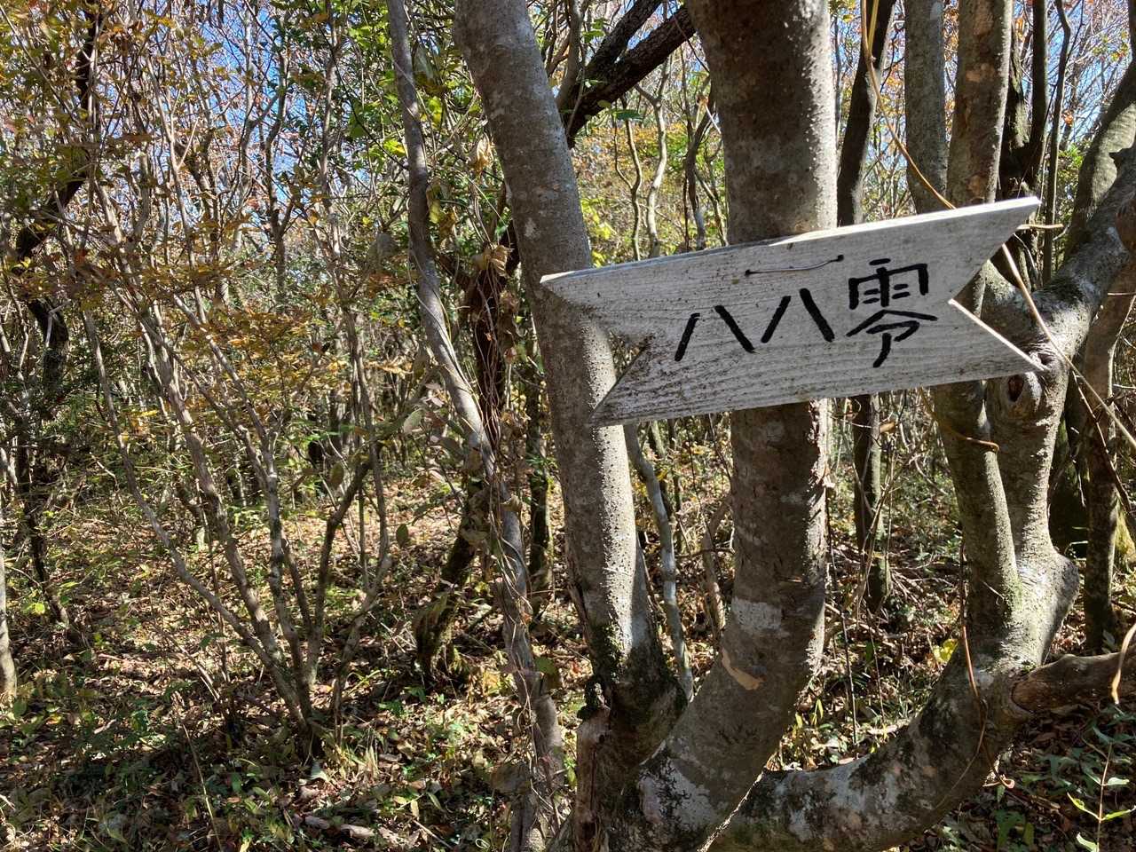 ハハゼロpeak…
少しずつ降りています。