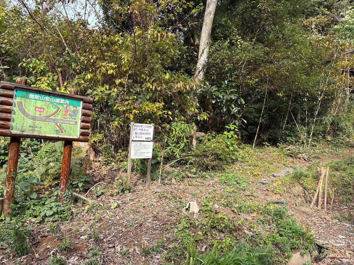 下山は違うルートで。
ここからはしばらく舗装路です。
でもムカゴ探しながら、めっちゃ楽しかった。