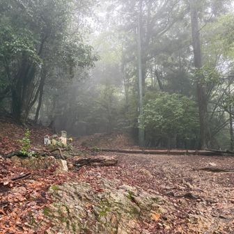 ずっと雨☔
幻想的