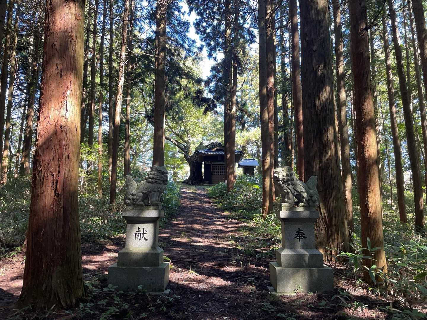 天満神社⛩️から、