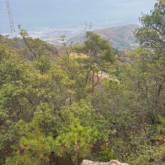 細かなアップダウンが続く