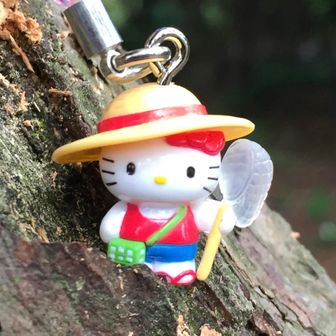 さくら