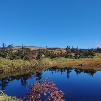 龍ノ峰近くからの山頂ヒュッテ