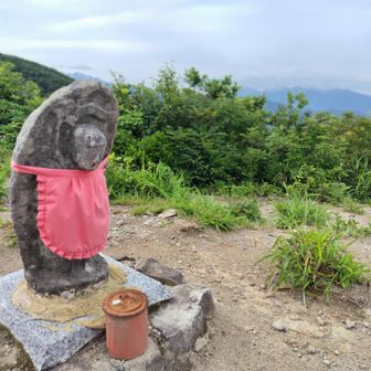 この後、キノピーさんたちと会えたよウェーイ！🎉👌
