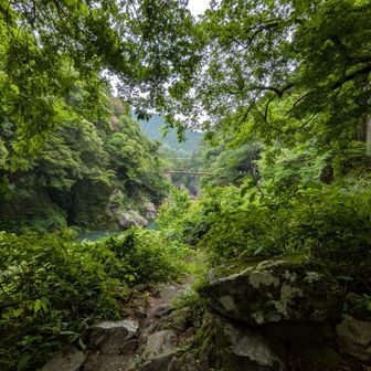 向こうに見える吊り橋は、鳩ノ巣小橋。