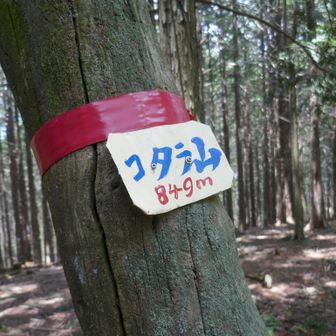 こんなに山あったっけ......？