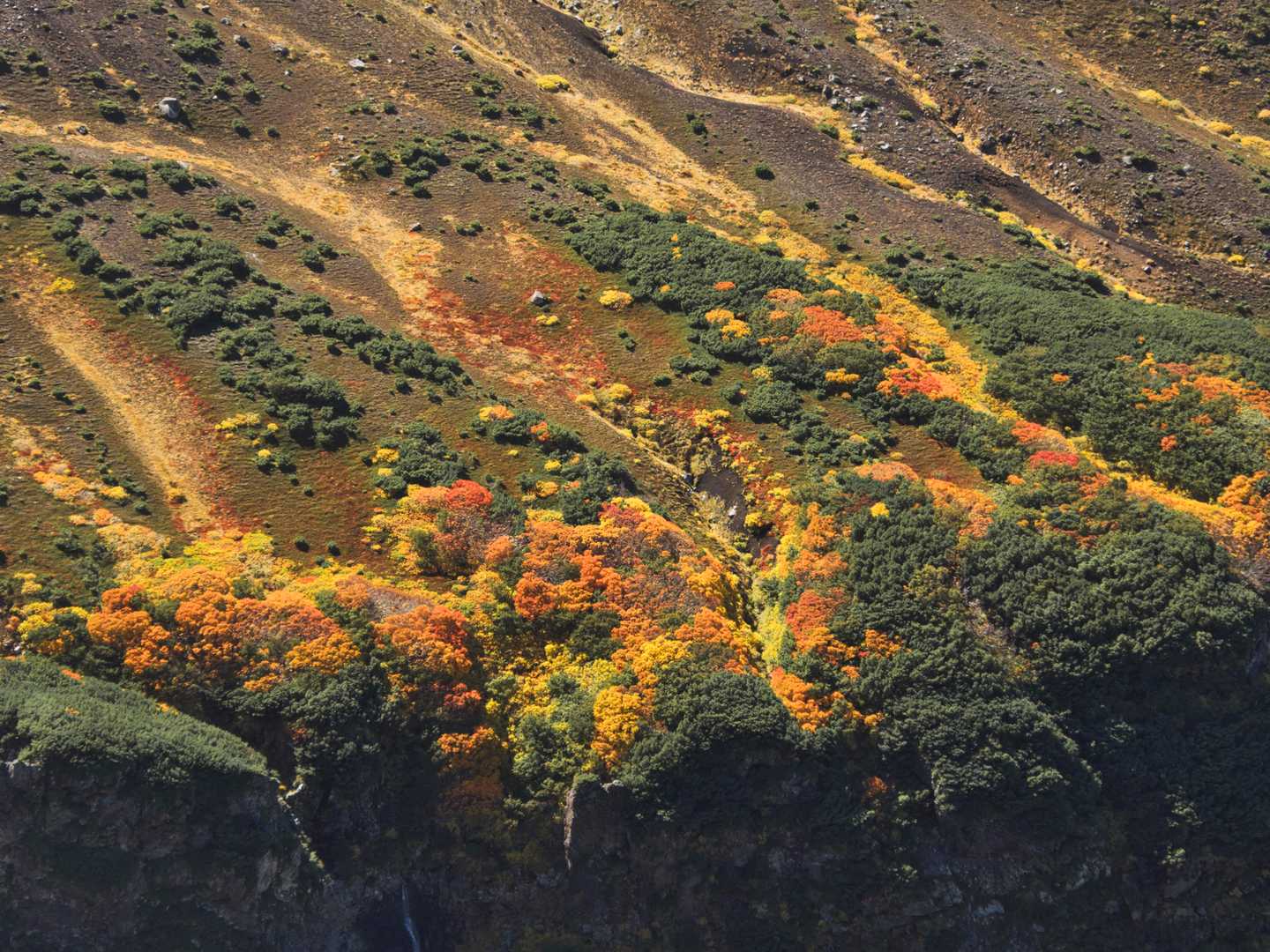 下山中も綺麗