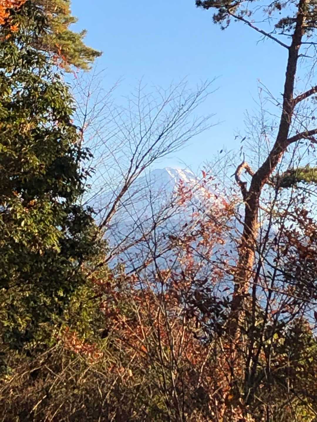 小松山 往復コースの写真