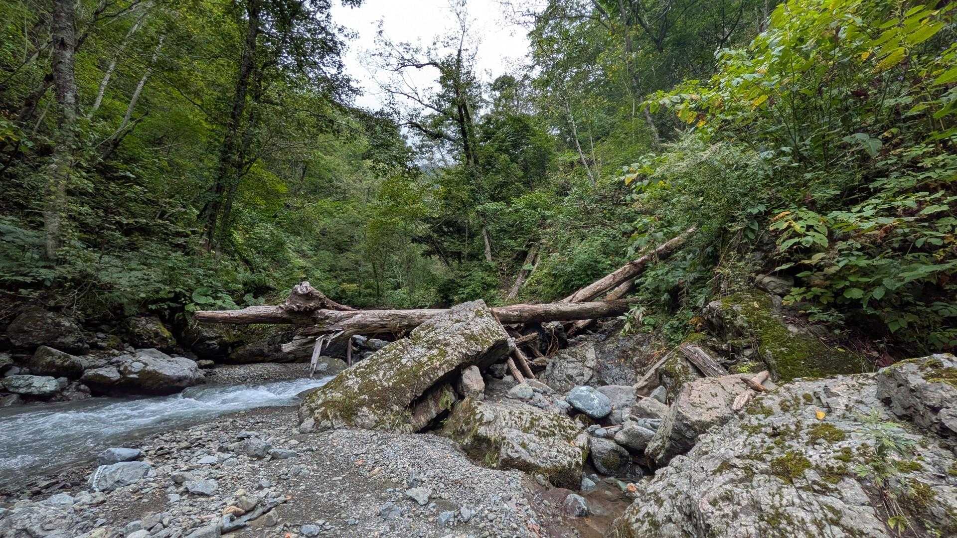 旧道登山口-芦別岳-雲峰山-半面山 縦走コースの写真