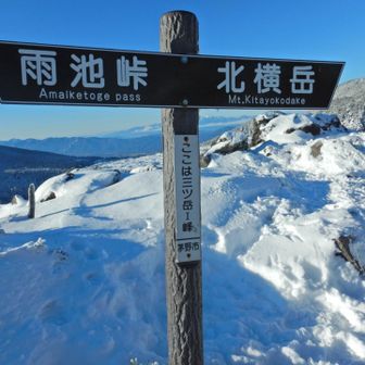 岩場終了
これから急坂下って樹林帯ウォーキングです
