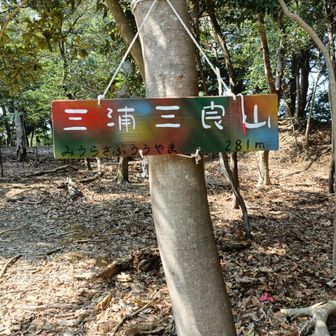 三浦三良山（みうらさぶろうやま）登頂。
ピークに気づかず通り越してしまったので戻りました。
山名板のカラーリングが良いですね。