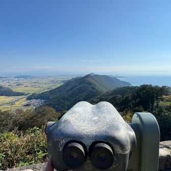 どれどれ