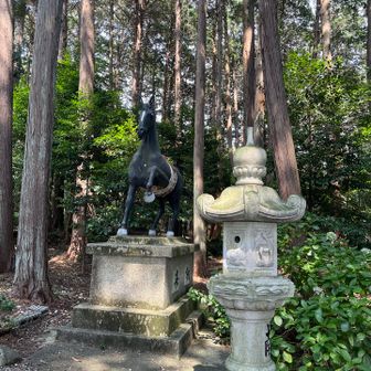 お馬さんお久〜🙋‍♀️