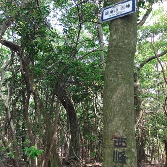 譲葉山、西やら北やら複数のピークがあります