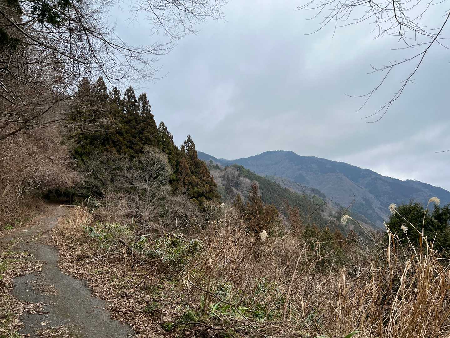 ↗️遠くにそびえる山が大将陣かな⁉️