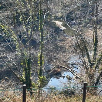 アップで、水の流れは❓