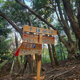 体重増えすぎてここまで結構キツかった💦