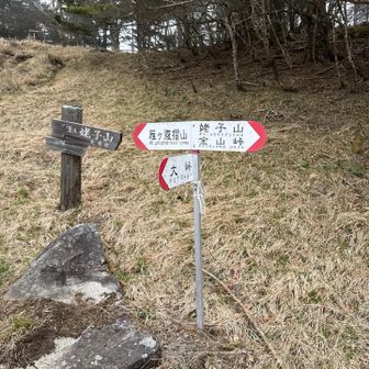 姥子山へ向かいます。かなり降ります。登り返して戻って来ます。