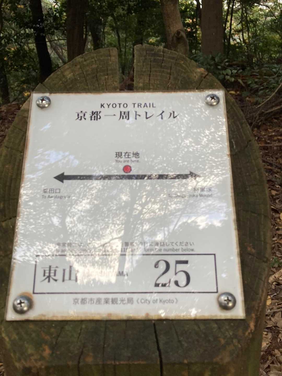 一直線⁉︎
すぐそこ