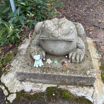 無事カエルカルテット🐸
あれ、1匹増えてる？
ここにもトトロ。
避難小屋には常連さんやお初の方々がいらっしゃって楽しいお話かできました👌