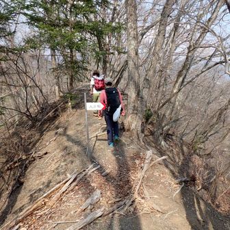 痩せ尾根好き☺️