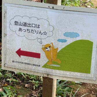 三河ですね〜ほっこり🩶