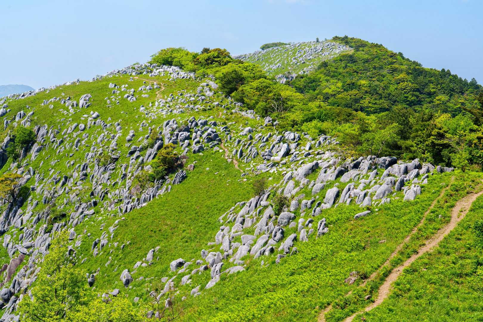大平山を振り返る