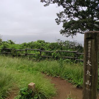 いつもの大丸山山頂。こんな曇天でも入れ替わり立ち替わりで何組か休憩中。