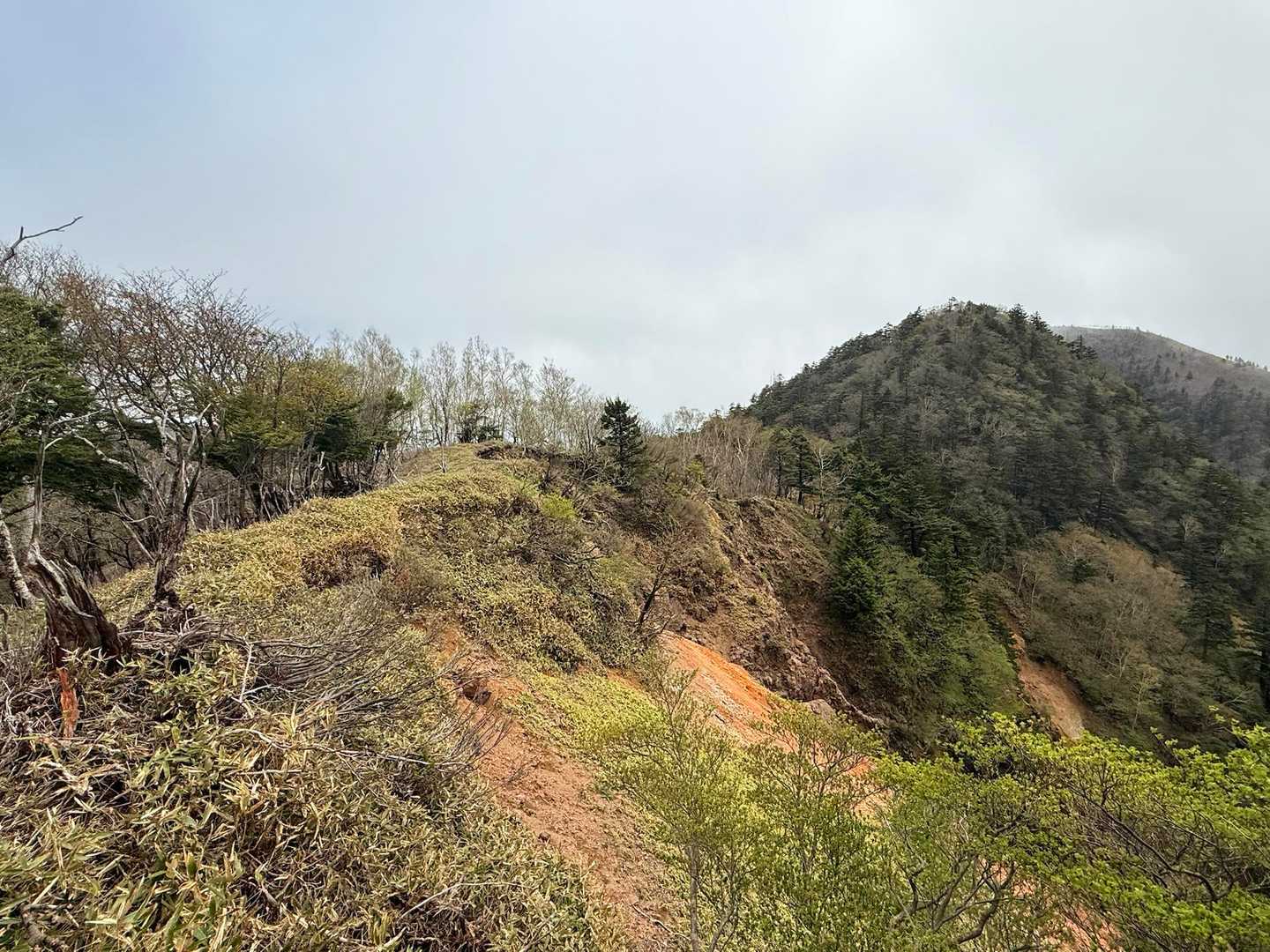 あのピークを越えて
その向こうが釈迦ヶ岳⛰️