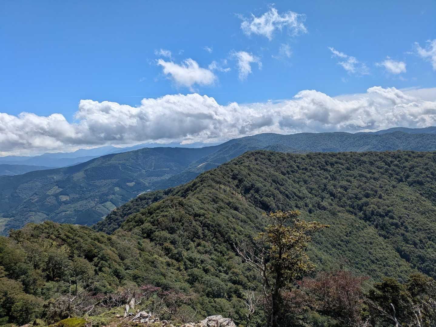 登ってきた稜線。