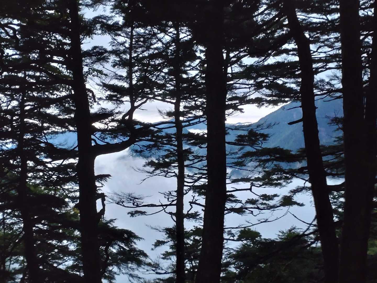 まきさん来月夜勤専従
御願いできないかな
