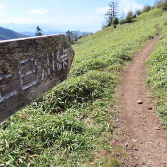 石丸峠に戻り、出発地点の上日川峠に向かいました。