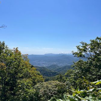 平和だなー