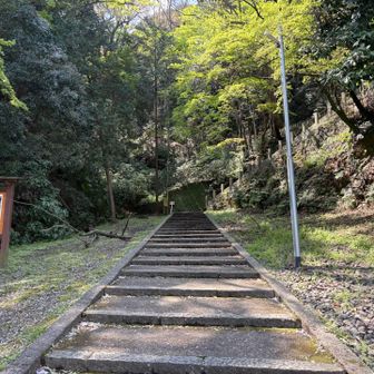 急登の裏参道から登ります