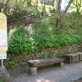 ヤビツ峠着。（９時）
駐車場は タイミング良ければ 入れるかな。