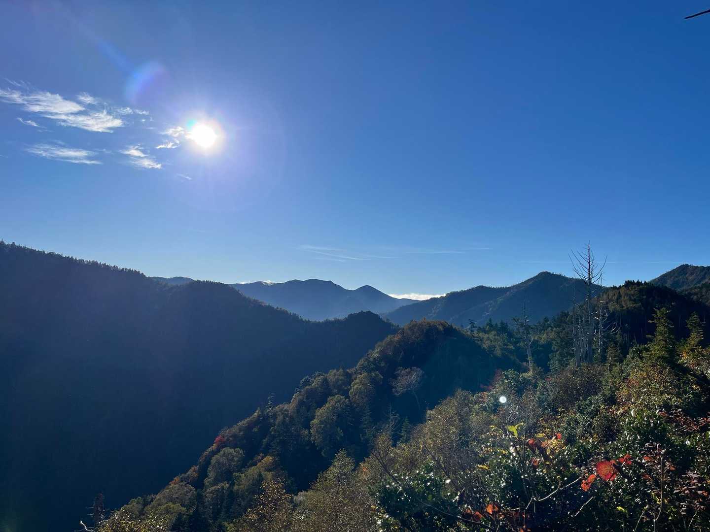 こちらはぐんま県境トレイルになってる上ノ倉山等々