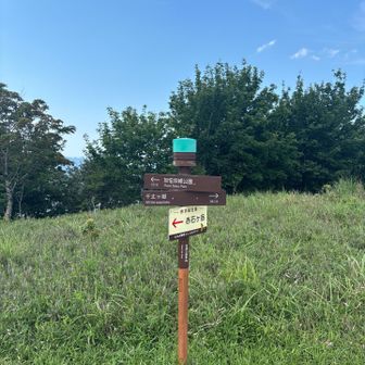 加悦双峰公園方面へ。