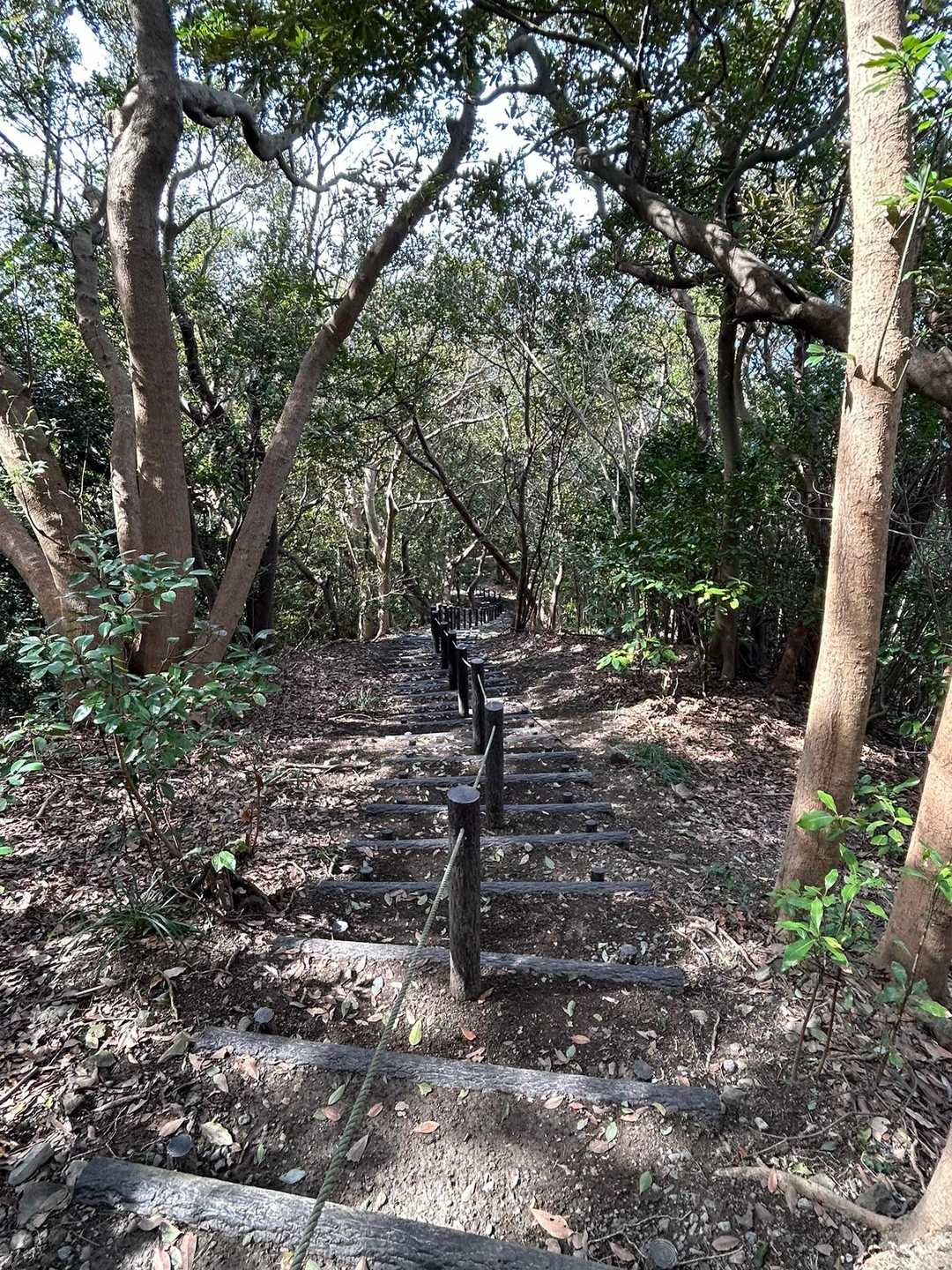 次は階段下り
