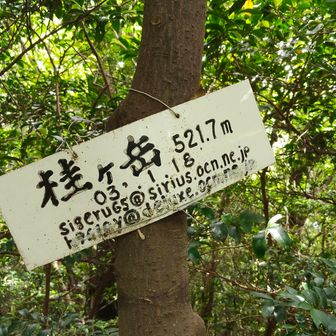 山頂標識　その③