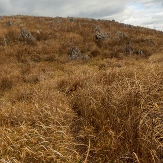 まぁ次も近くだし行きますか〜って、ルートちょっと怪しい藪漕ぎではないか……