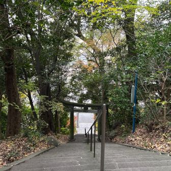 山頂社殿を一周して下山します✨