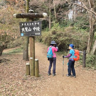 天覧山中腹まではなだらかで、歩きやすかった。