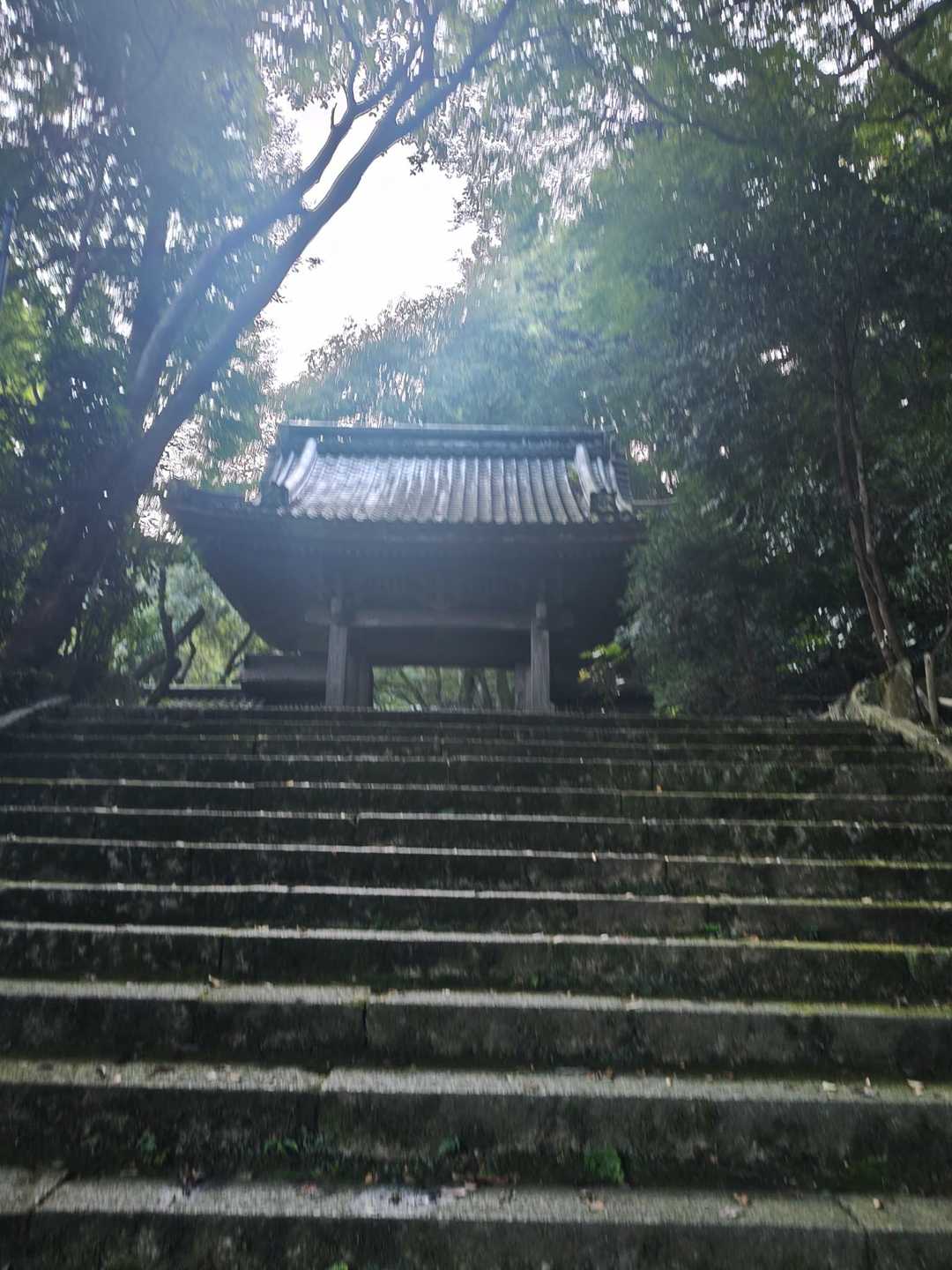 陽も入り始めて、荘厳な感じから、開けていくような…

同じ時間帯、親子連れが後ろに…
出勤前かな、休みかな…、お父さん…
そして、白い服に、手持ち扇風機を持った若い女性も…